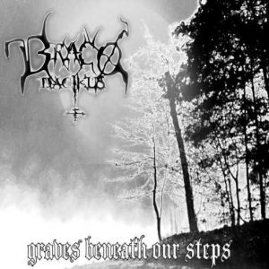 Dracodacikus - Graves Beneath Our Steps