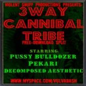 Decomposed Aesthetic - 3 Way Cannibal Tribe