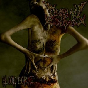 Display of Decay - Blood Borne