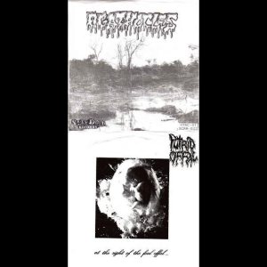 Agathocles / Putrid Offal - At the Sight of the Foul Offal... / Untitled