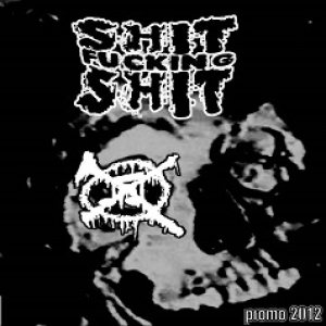 Shit Fucking Shit - Promo 2012
