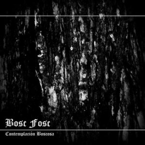 Bosc Fosc - Contemplación Boscosa