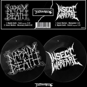 Napalm Death / Insect Warfare - Napalm Death / Insect Warfare