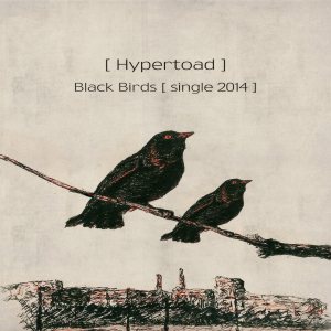 Hypertoad - Black Birds