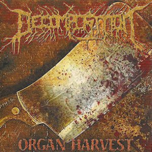 Decomposition - Organ Harvest
