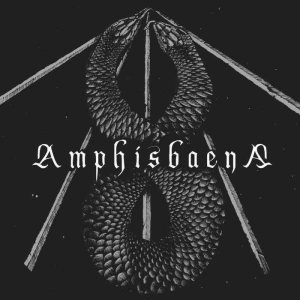 Amphisbaena - Amphisbaena