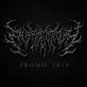 Embryectomy - Promo 2014