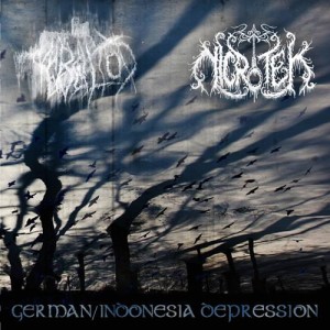 Nicrotek - German/Indonesia Depression