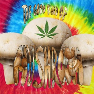 The Good Kind of Mushroom - The Good Kind of Mushroom