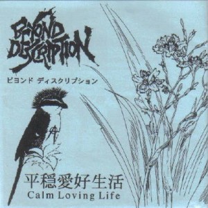 Beyond Description - Calm Loving Life
