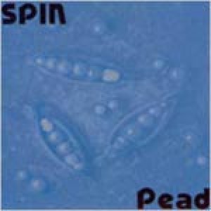 Spin - Pead