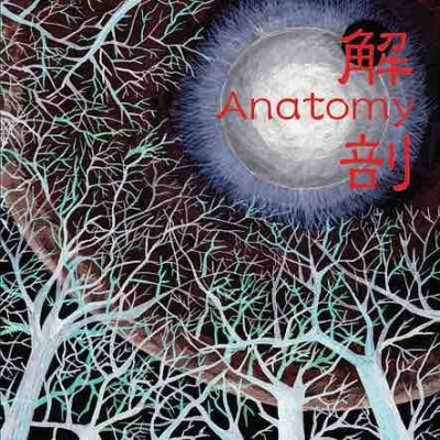 Anatomy - 解剖