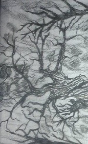 Conjuro - Engolindo Almas e Espíritos da Noite / Árvore da Morte