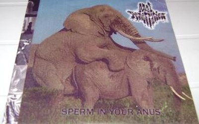 Anal Penetration - Sperm in Your Anus