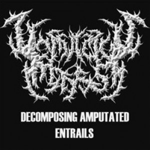 Vomitous Mass - Decomposing Amputated Entrails