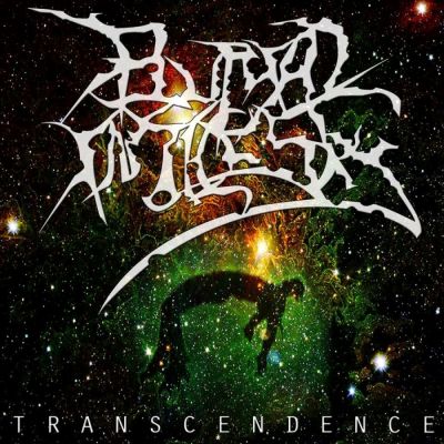 Burial in the Sky - Transcendence