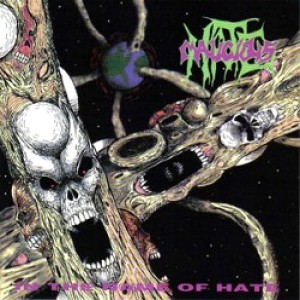 Malicious Hate - In the Name of Hate