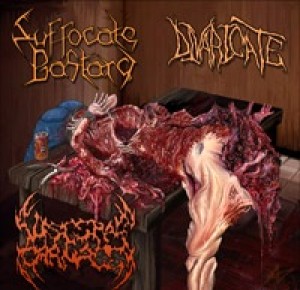 Suffocate Bastard / Divaricate / Visceral Carnage - Mutilated and Split into Thirds