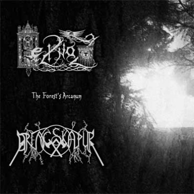 Heilnoz / Drengskapur - The Forest's Arcanum