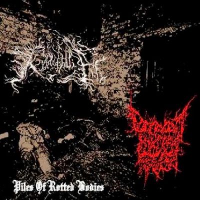 Decrepit Artery - Piles of Rotted Bodies