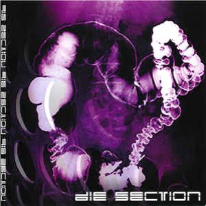 Die Section - Die Section