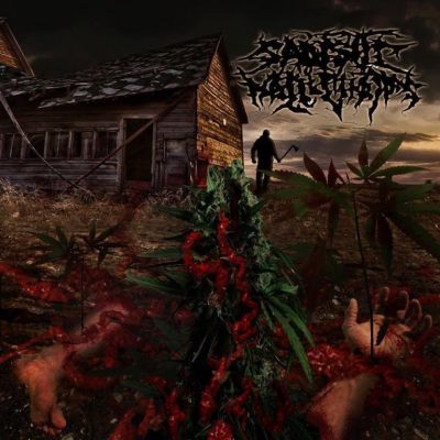 Sadistic Hallucinations - Cadaver Compost