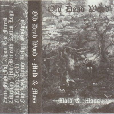 Old Dead Wood - Mold & Moss