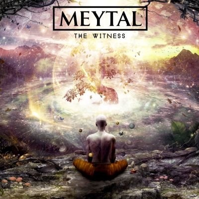 Meytal Cohen - The Witness