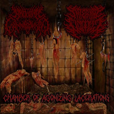 Backyard Cannibalism - Chamber Of Agonizing Lacerations