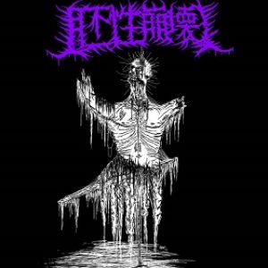 Embryonic Decay - Decorate The Sevared