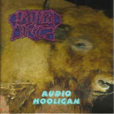 Gorgonized Dorks - Audio Hooligan