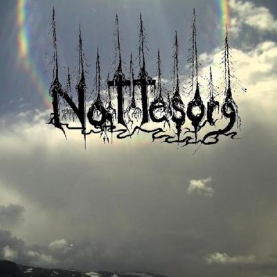 Nattesorg - Darkness Into Light