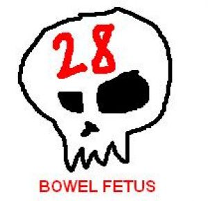 Bowel Fetus - 28 Tracks of Bullshit Promo 3" CD-R