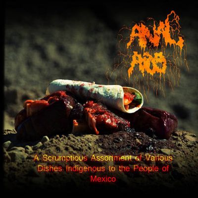 Anal Aids - A Scrumptious Assortment of Various Dishes Indigenous to the People of Mexico