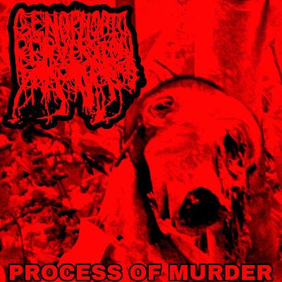 Genophobic Perversion - Process Of Murder