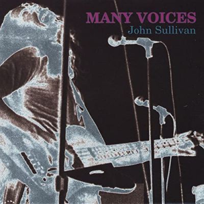 John Sullivan - Many Voices