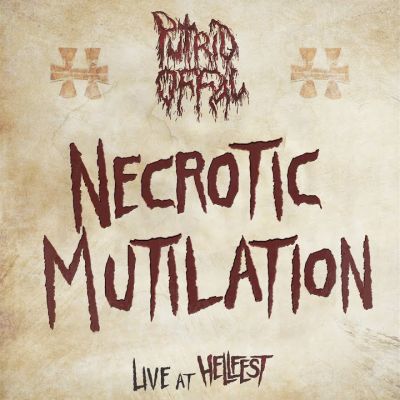 Putrid Offal - Necrotic Mutilation (Live at Hellfest, 2017)