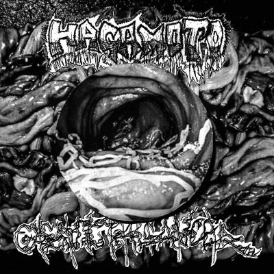 Hagamoto - Hagamoto / Genital Cancer