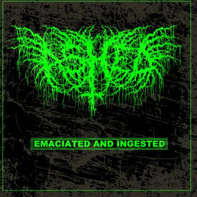 Ashed - Emaciated and Ingested