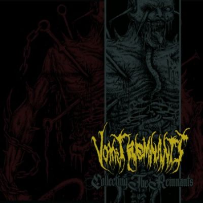 Vomit Remnants - Collecting the Remnants