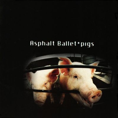 Asphalt Ballet - Pigs