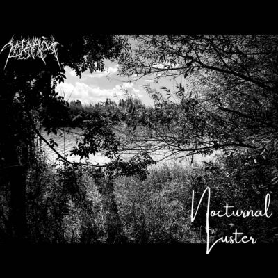 Zalaam - Nocturnal Luster