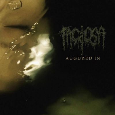 Tactosa - Augured In