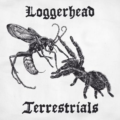 Loggerhead - Terrestrials
