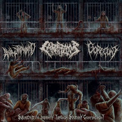 Anal Stabwound / Carnifloor - Subjected to Insanity Through Solitary Confinement