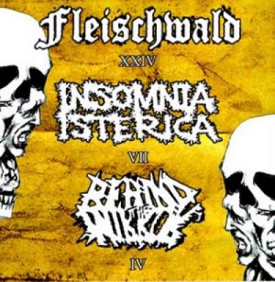 Fleischwald - Fleischwald / Insomnia Isterica / Behind the Mirror