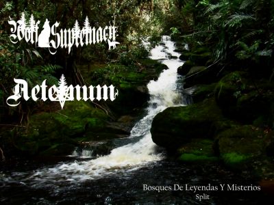 Aeternum - Bosques de leyendas y misterios