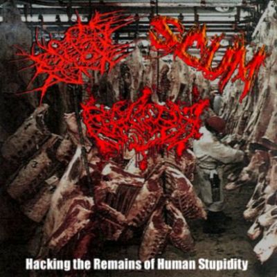 No One Gets Out Alive - Hacking the Remains of Human Stupidity