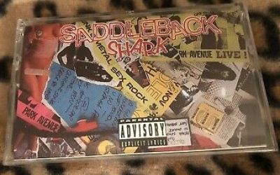 Saddleback Shark - Saddleback Shark