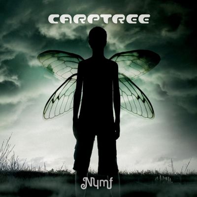 Carptree - Nymf